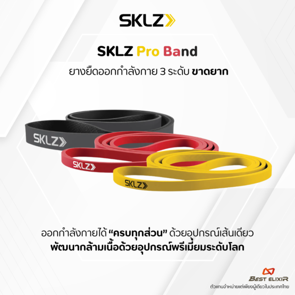 🔥 SKLZ Pro Bands – One Band. Full Strength. Anywhere.