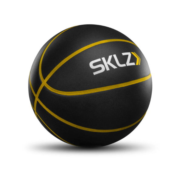 SKLZ - Bashhhketball Pro